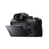 sony-a7r3-body-1 sony-a7r3-body-1